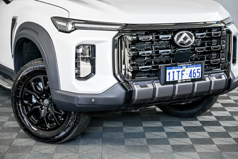 LDV D90 image 2