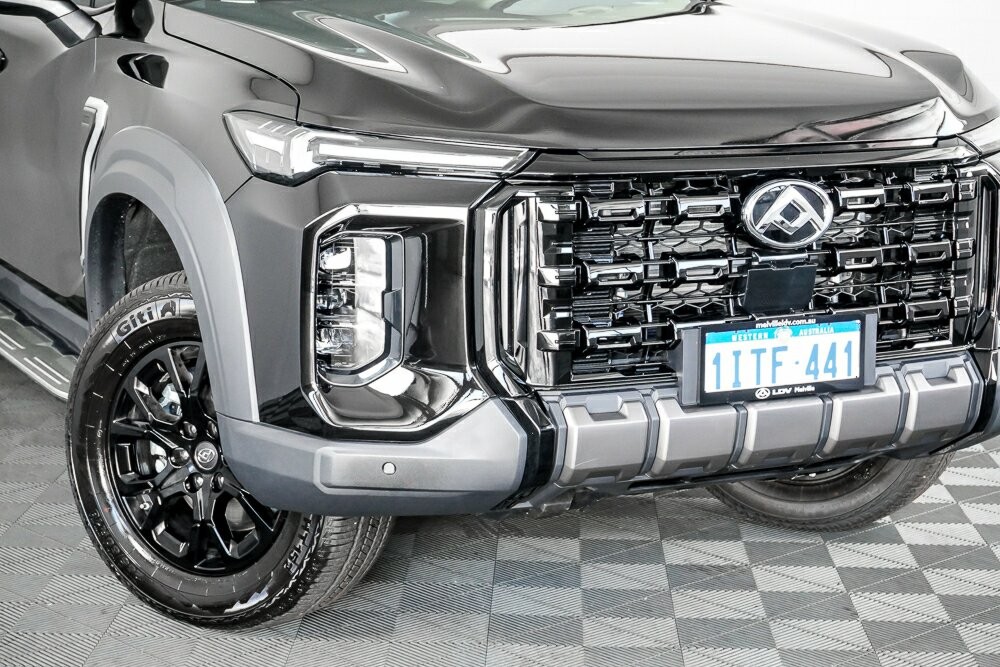 LDV D90 image 2