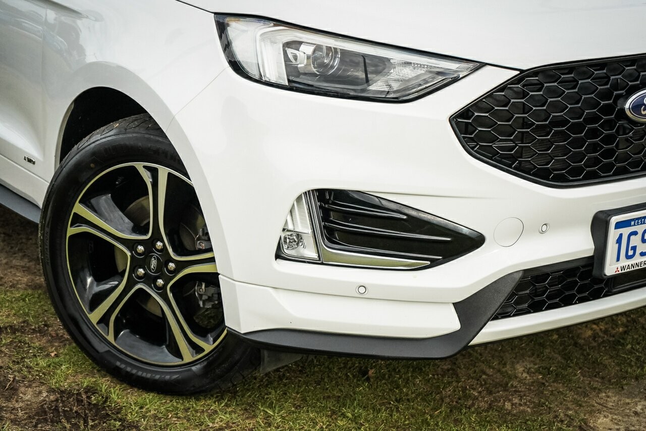 Ford Endura image 2