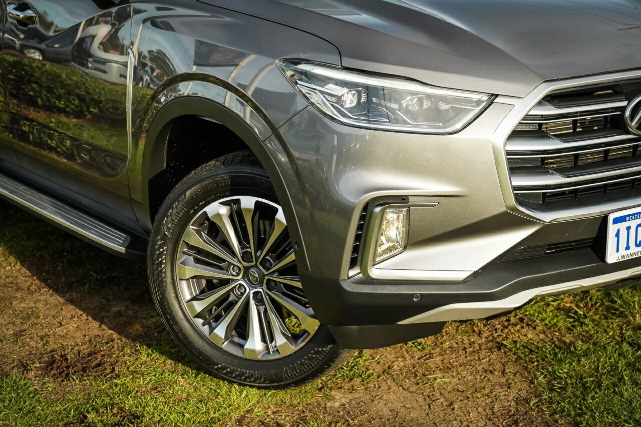 LDV D90 image 2