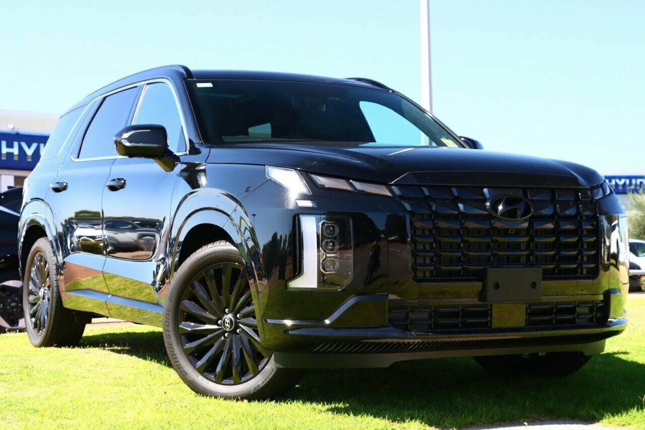 Hyundai Palisade image 1
