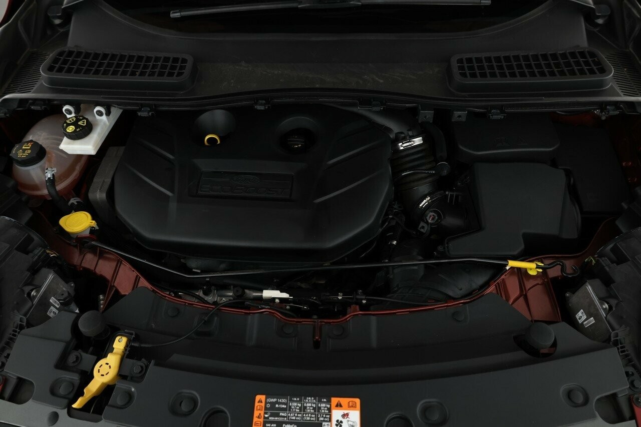 Ford Escape image 3