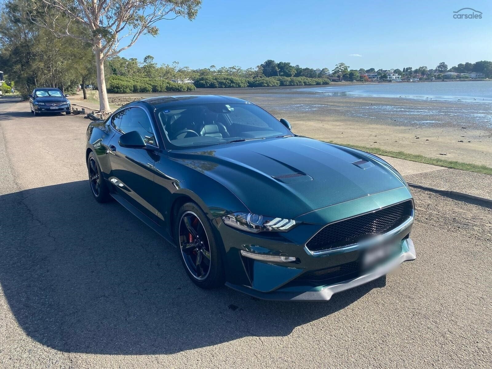 Ford Mustang image 1