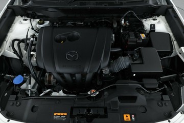 https://vehicle-cdn.autoleague.cloud/30353_61038266_6.jpg
