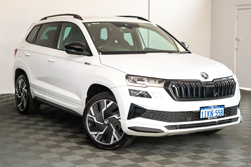 Skoda Karoq image 1