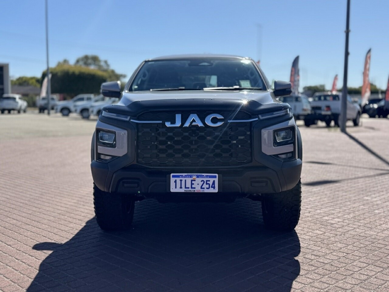 Jac T9 image 2