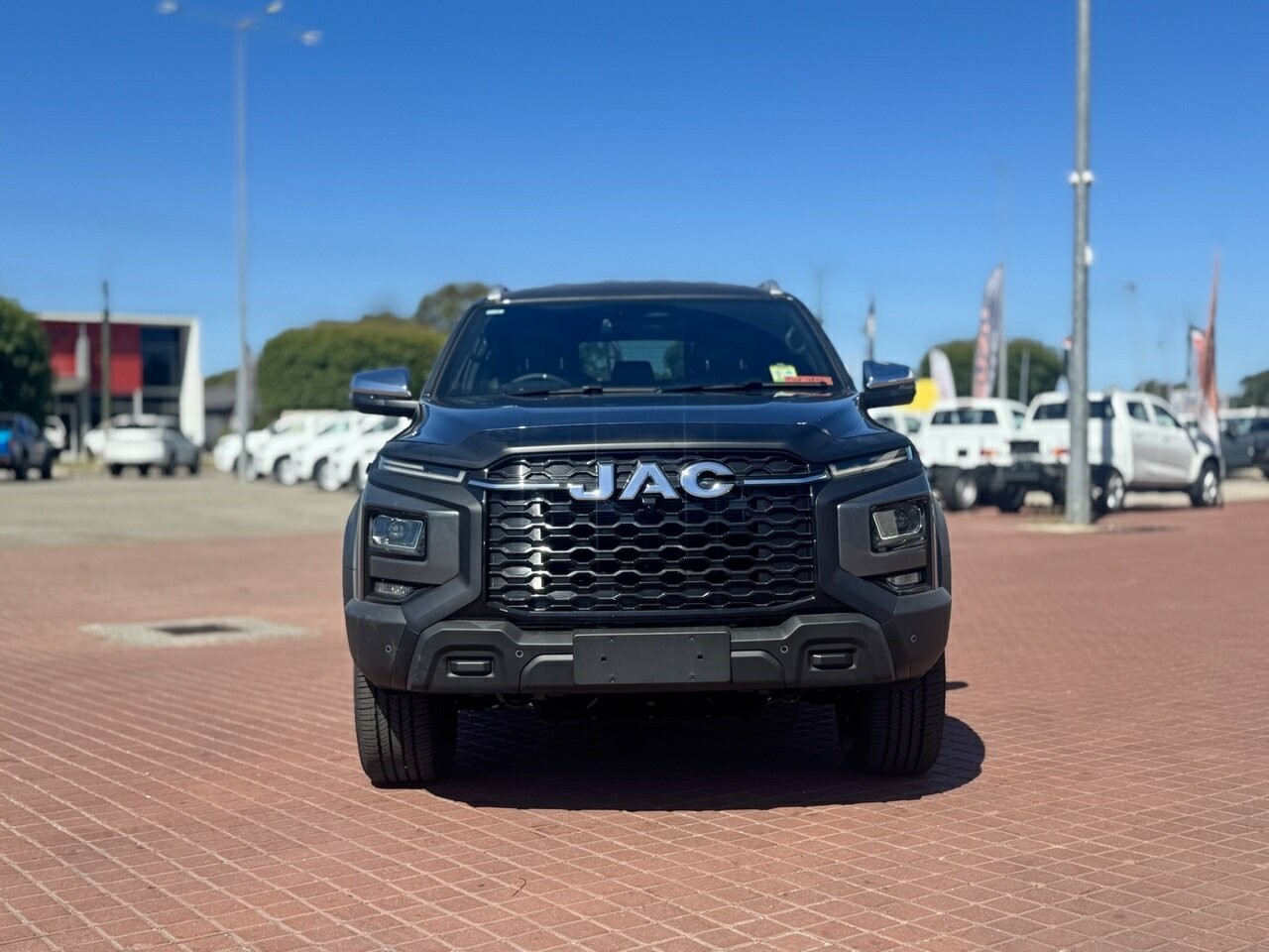 Jac T9 image 2