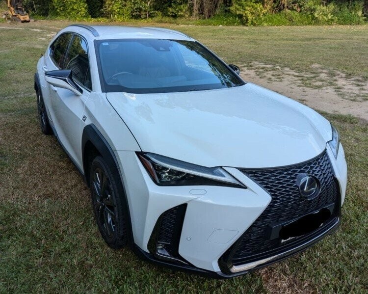 Lexus Ux image 1