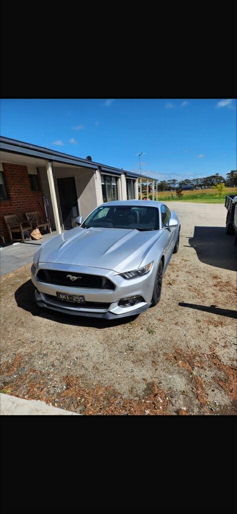 Ford Mustang image 1