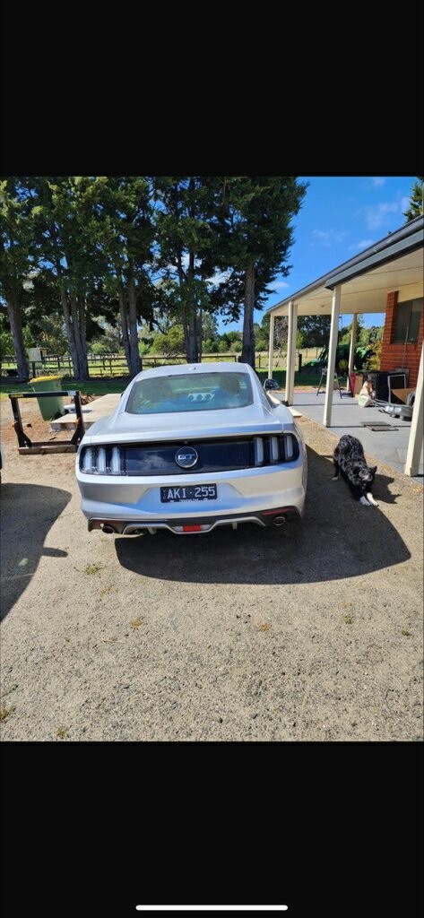 Ford Mustang image 4