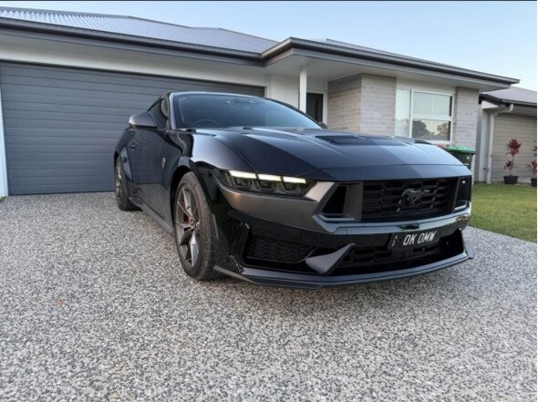 Ford Mustang image 1