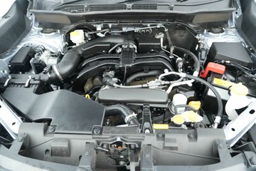 https://vehicle-cdn.autoleague.cloud/30641_U512304_30.jpg