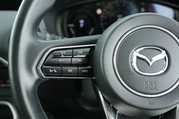 https://vehicle-cdn.autoleague.cloud/30641_U512356_19.jpg