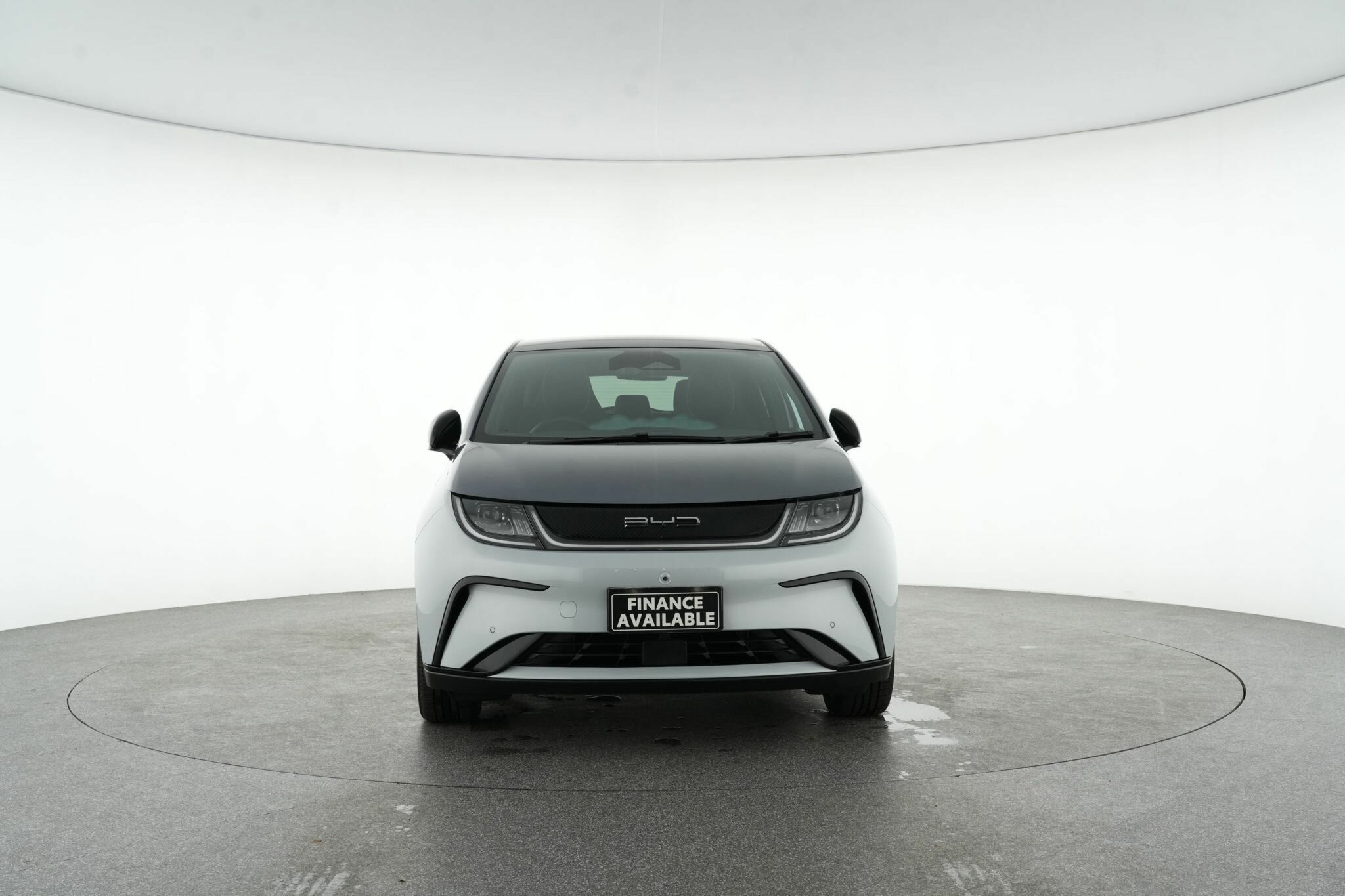 Byd Dolphin image 3