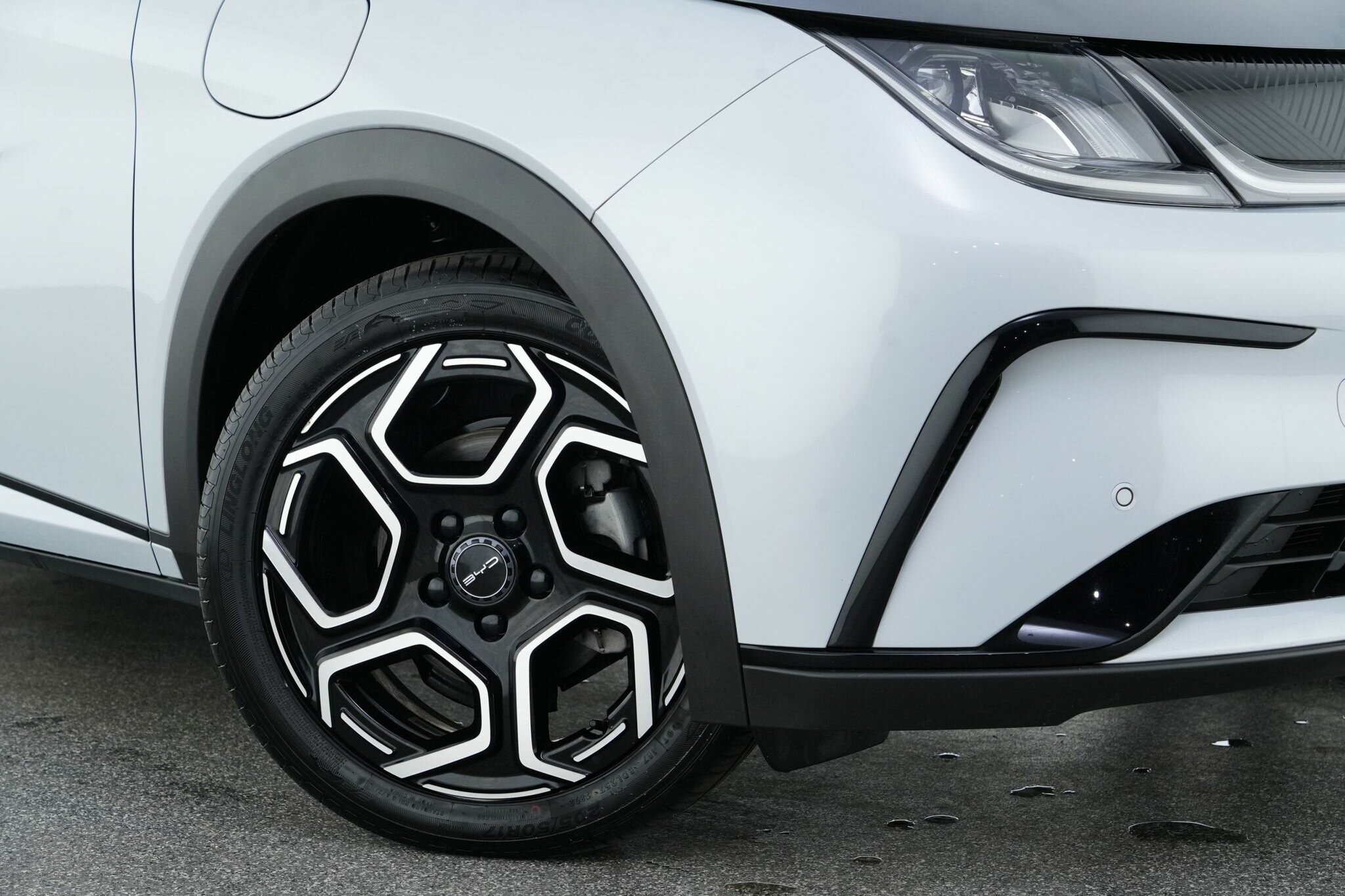 Byd Dolphin image 2