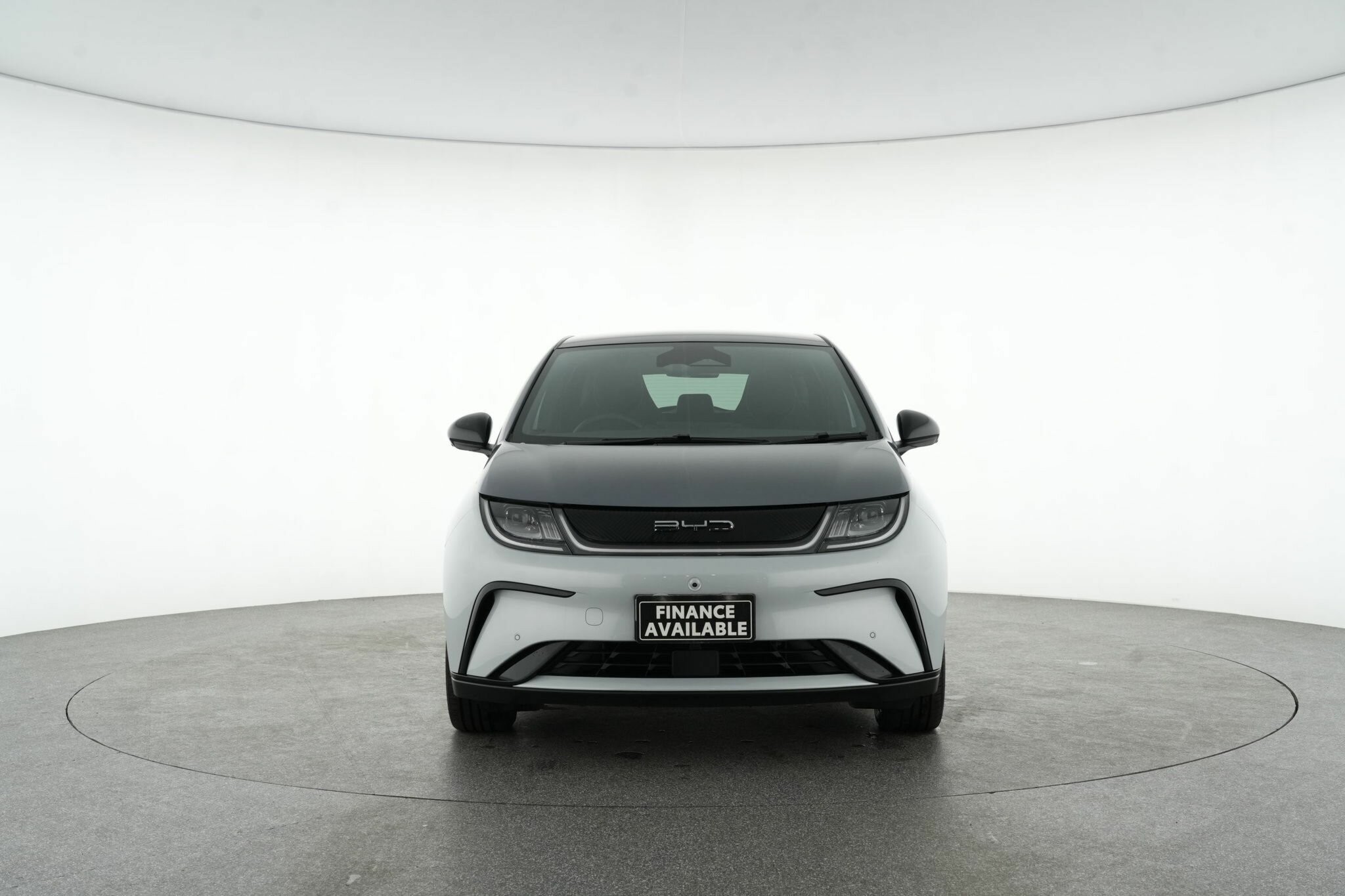 Byd Dolphin image 3