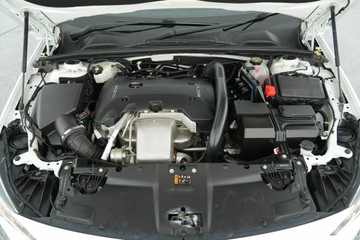 https://vehicle-cdn.autoleague.cloud/30641_U513035_29.jpg