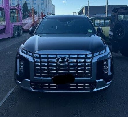 Hyundai Palisade image 1