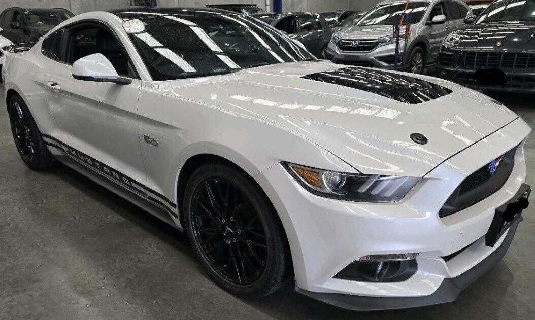 Ford Mustang image 1