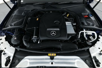 https://vehicle-cdn.autoleague.cloud/30675_61038805_8.jpg