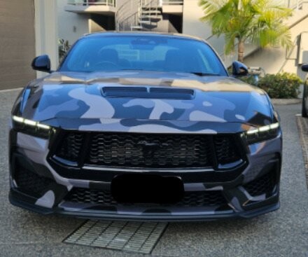 Ford Mustang image 3