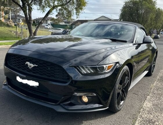Ford Mustang image 1