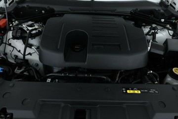 https://vehicle-cdn.autoleague.cloud/31025_61038336_7.jpg