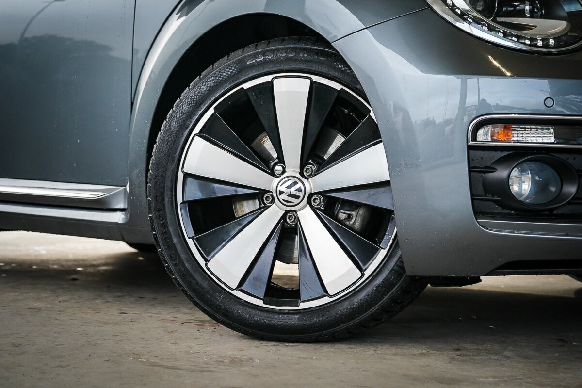 Volkswagen Beetle image 2