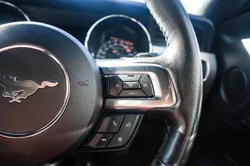 https://vehicle-cdn.autoleague.cloud/32225_81010686_16.jpg