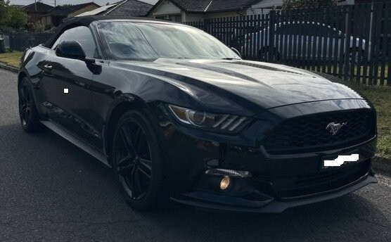 Ford Mustang image 1