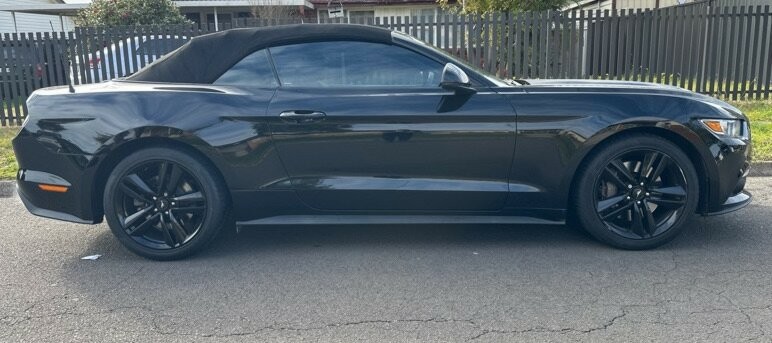 Ford Mustang image 2