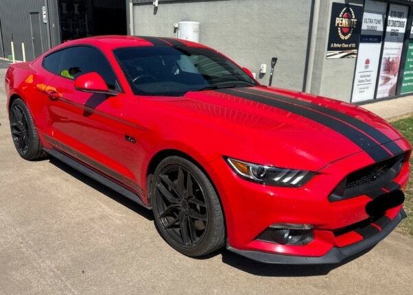 Ford Mustang image 1