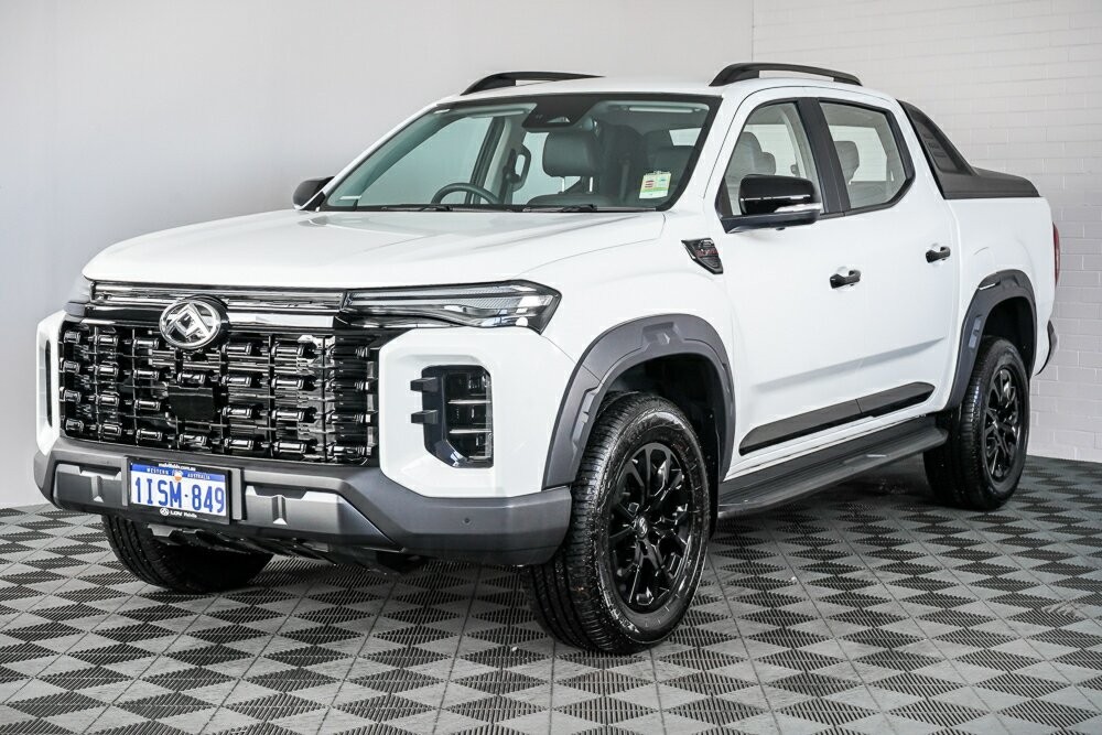 LDV T60 image 4