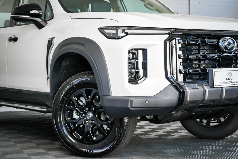 LDV D90 image 2