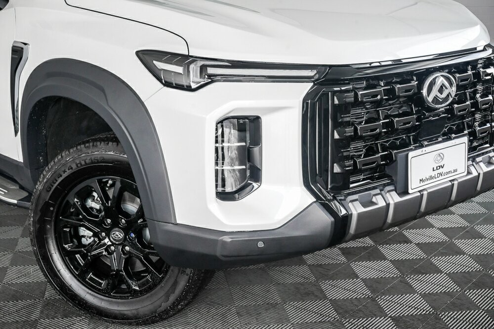 LDV D90 image 2