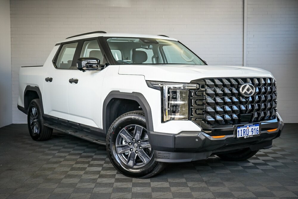 LDV Terron 9 image 1