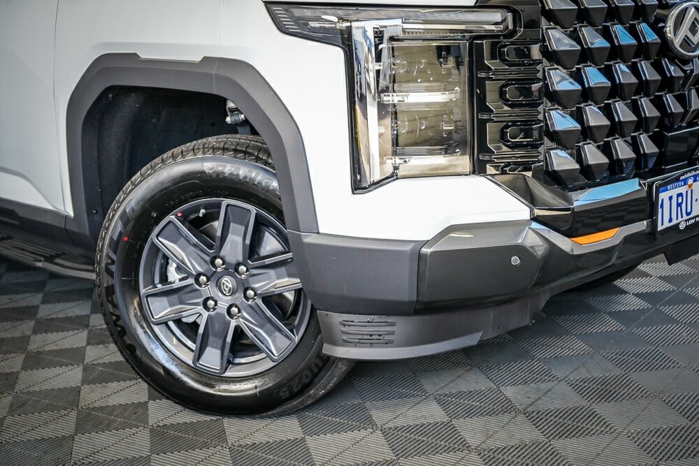 LDV Terron 9 image 2