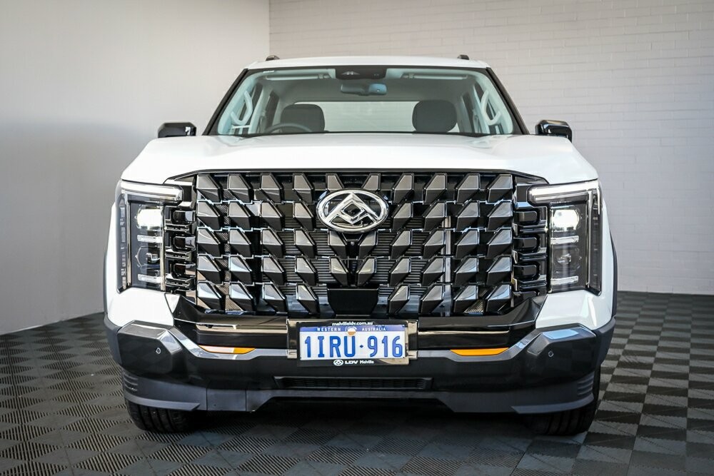 LDV Terron 9 image 3