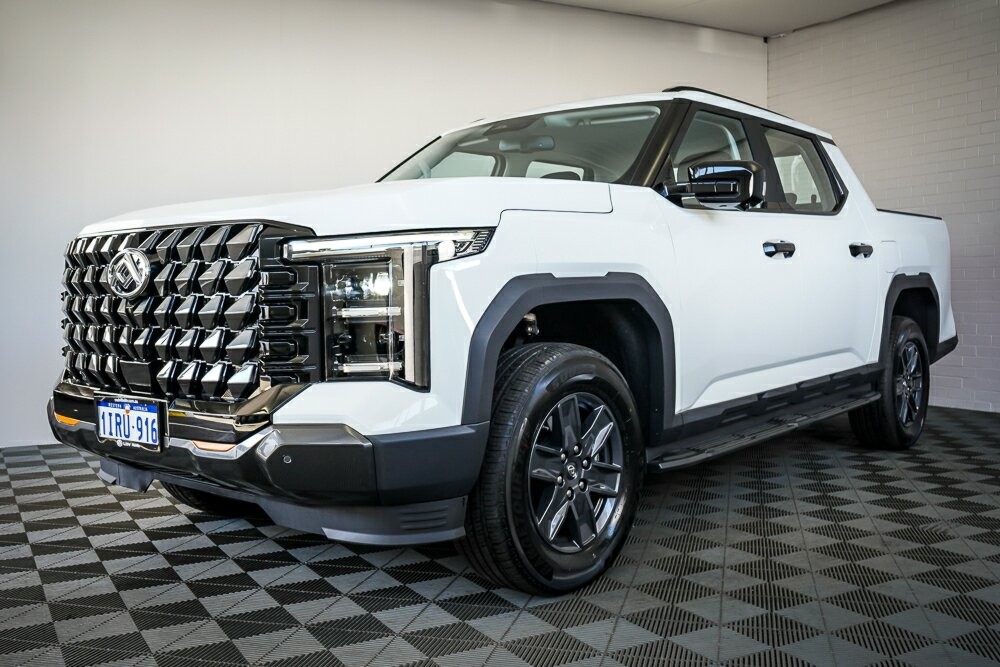 LDV Terron 9 image 4