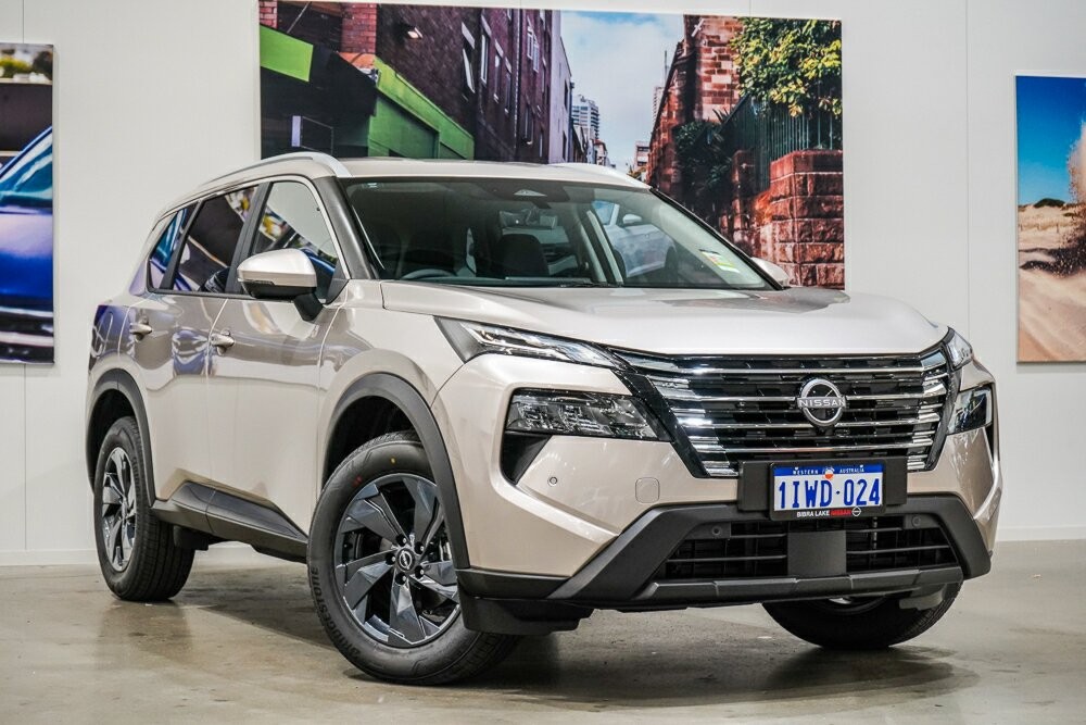 Nissan X-trail image 1