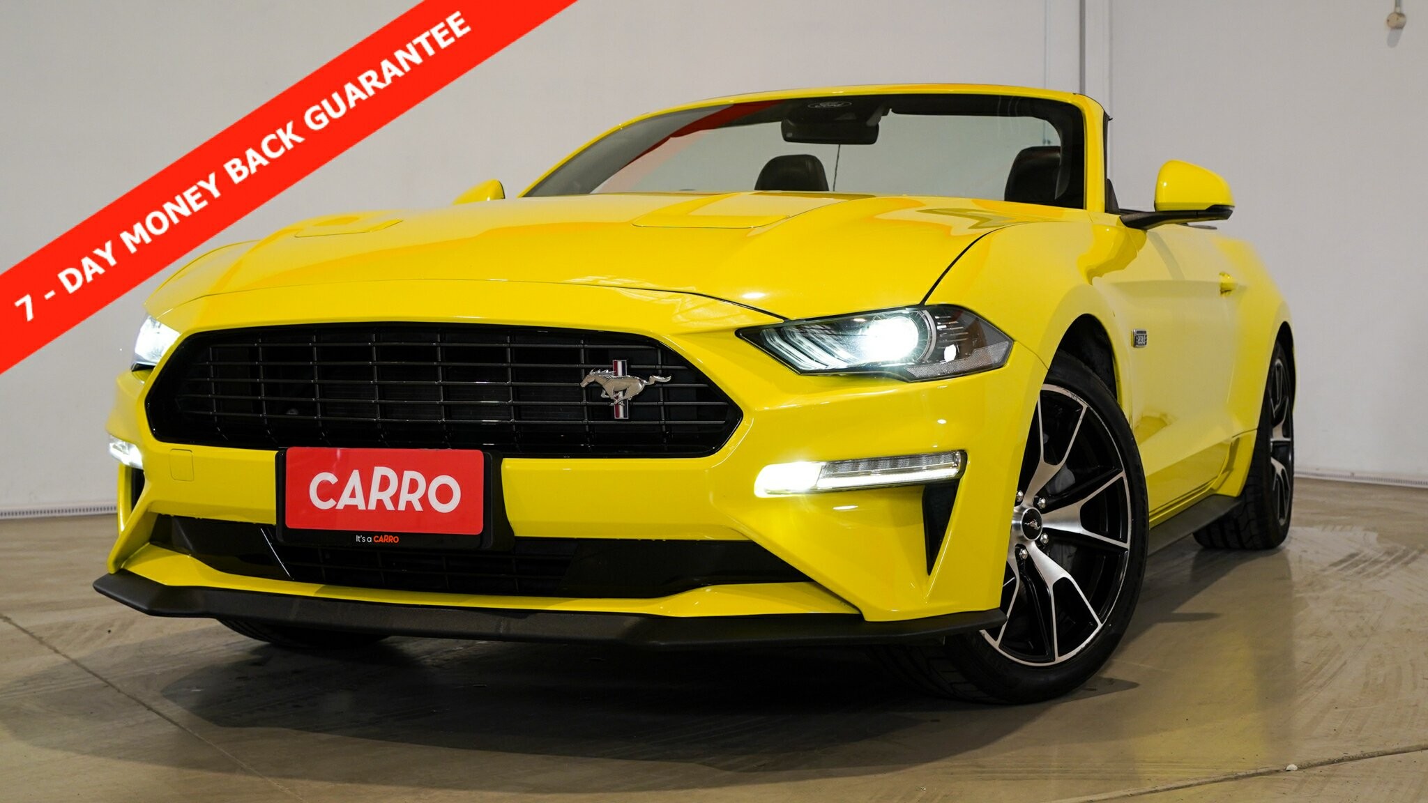 Ford Mustang image 1