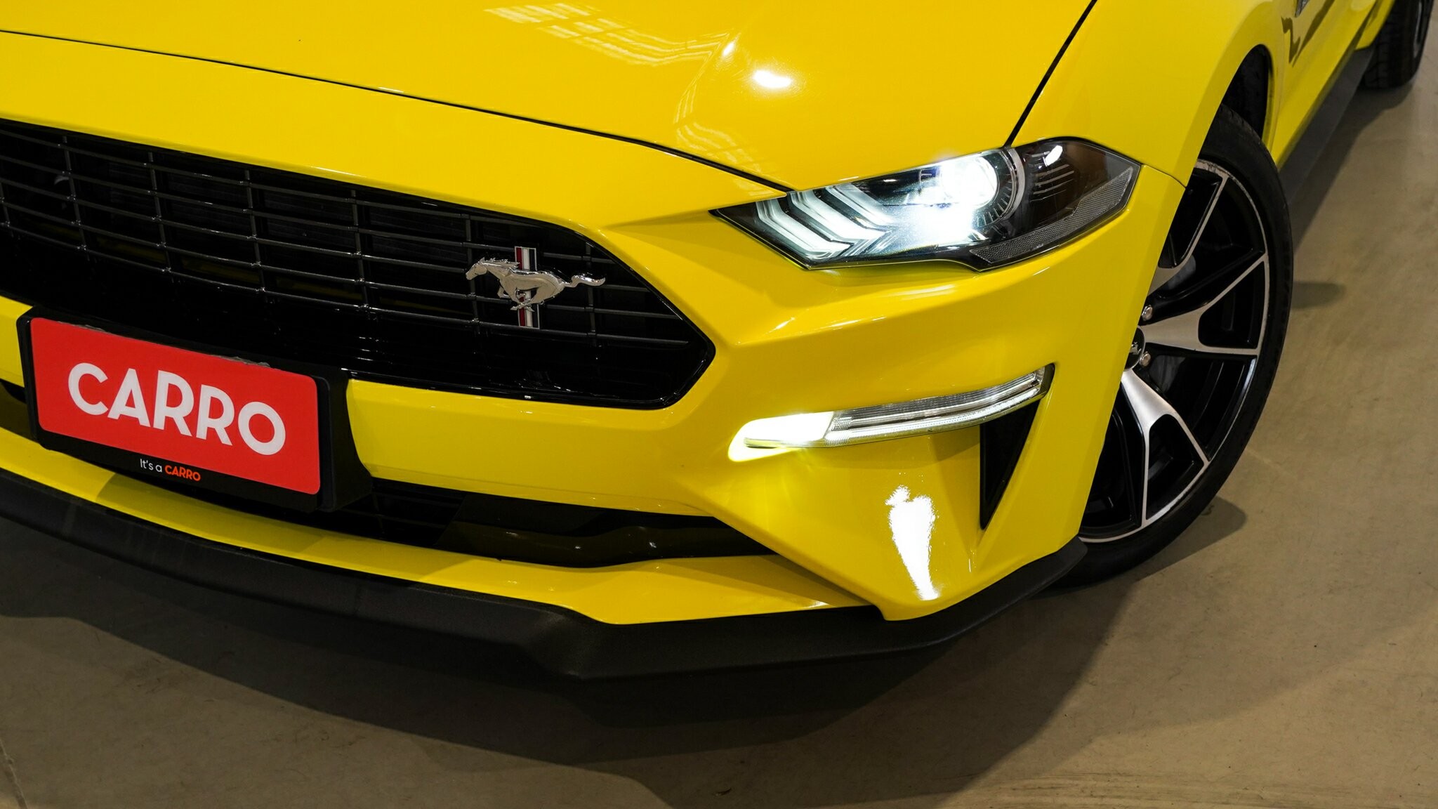 Ford Mustang image 2
