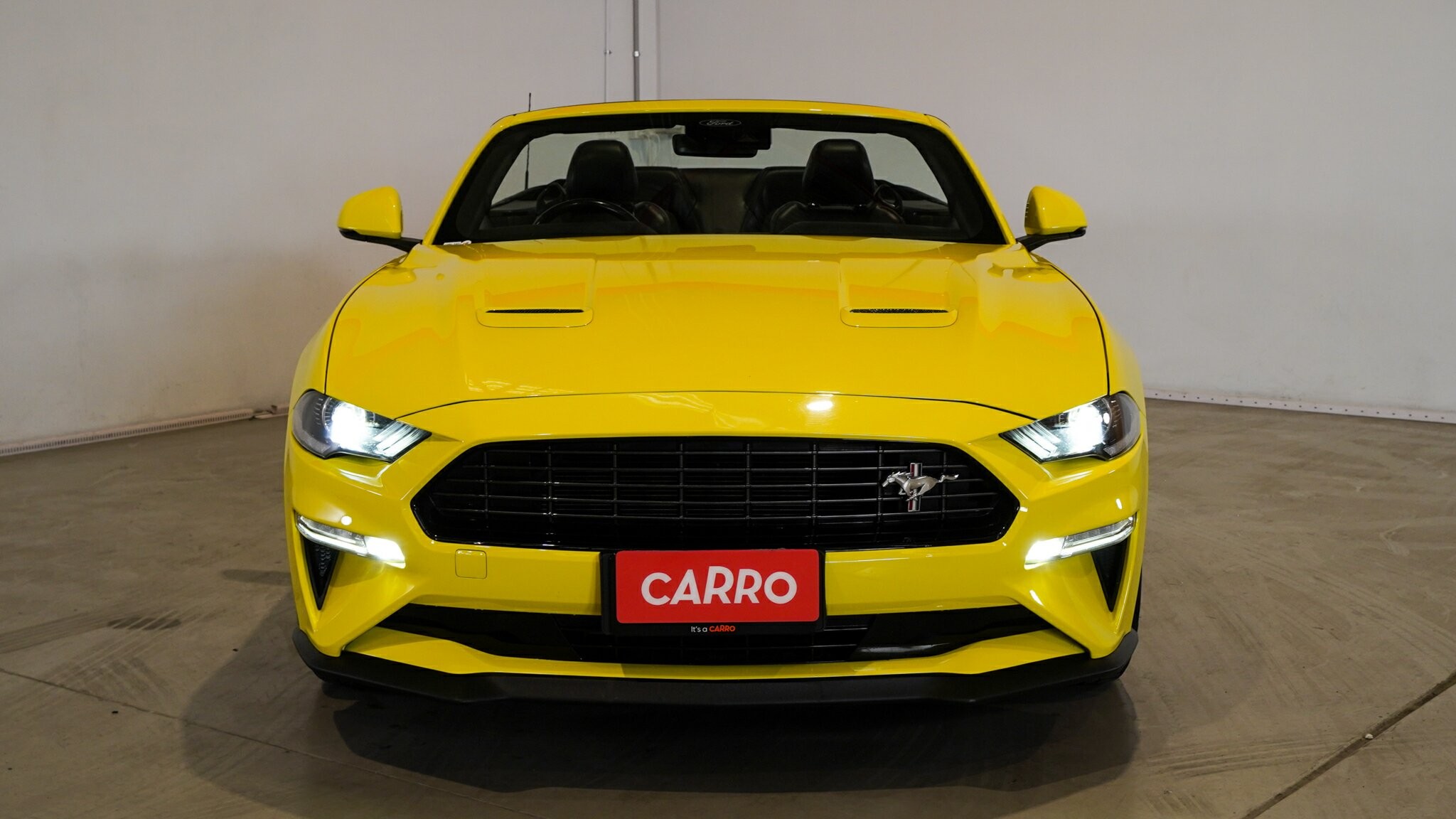 Ford Mustang image 3