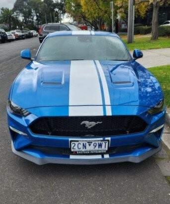 Ford Mustang image 1