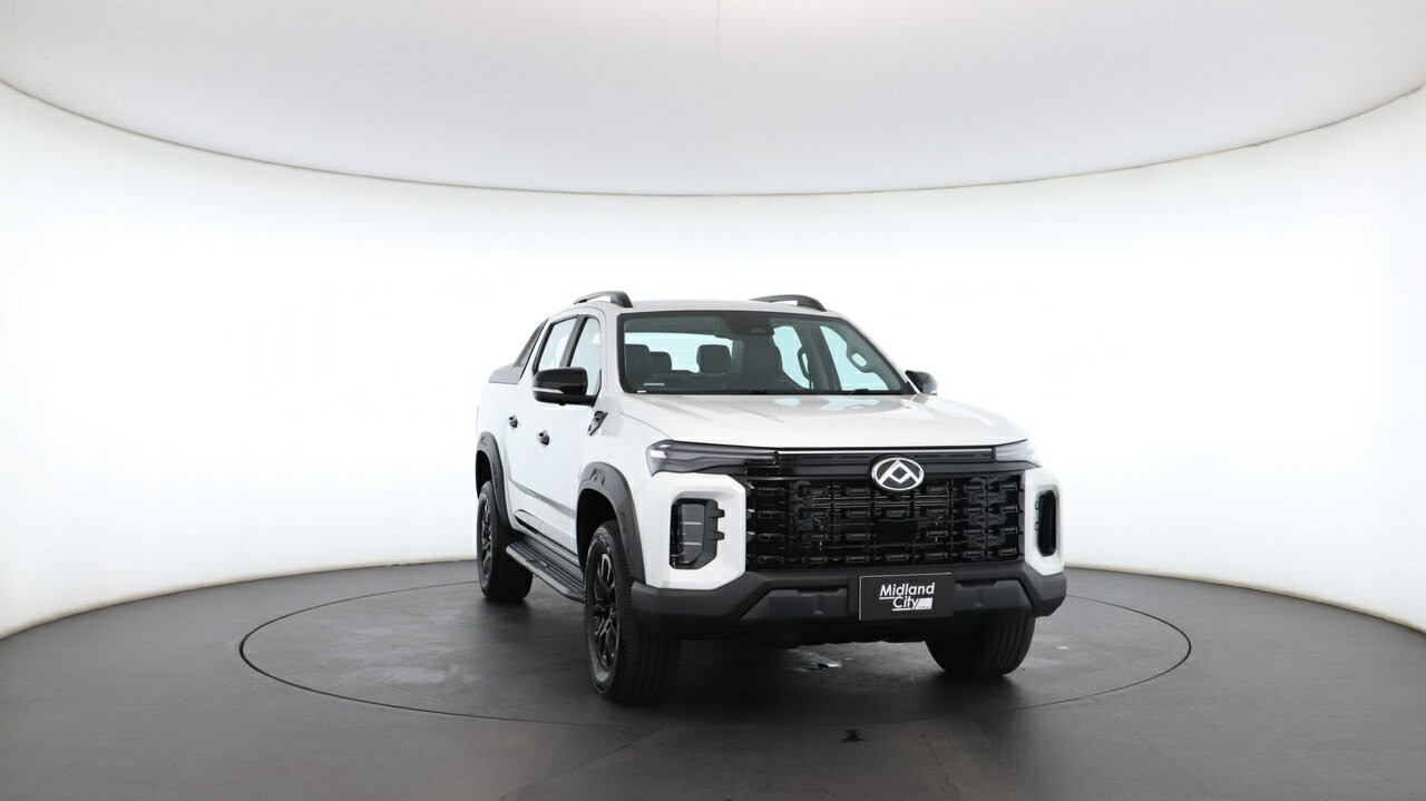 LDV T60 image 4