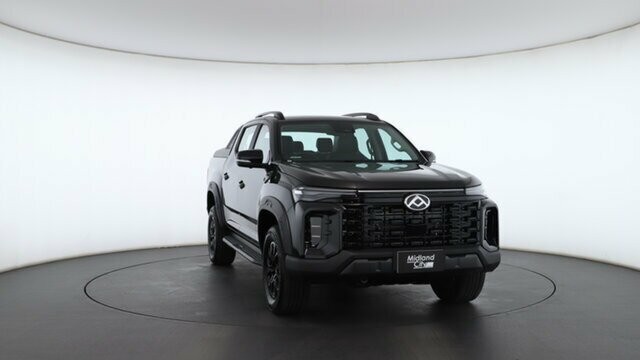 LDV T60 image 3