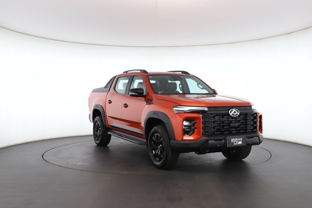 LDV T60 image 4
