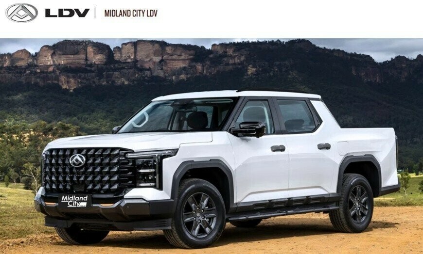 LDV Terron 9 image 1