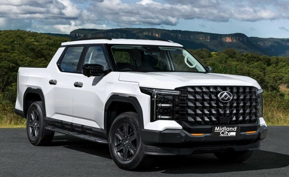 LDV Terron 9 image 2