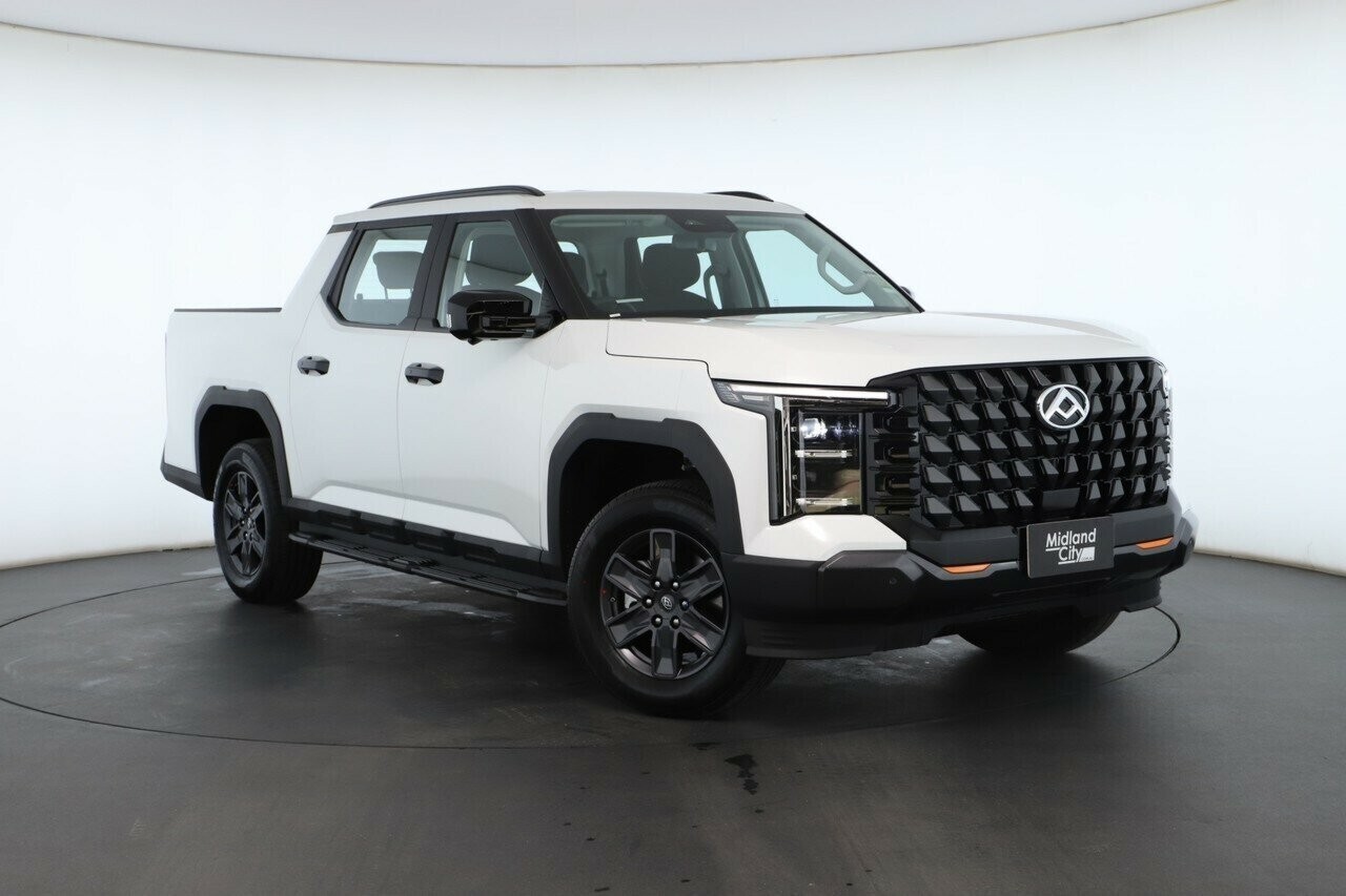 LDV Terron 9 image 1